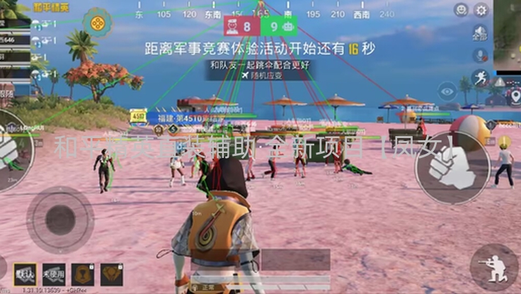 和平精英直装辅助 全新项目【凤女】